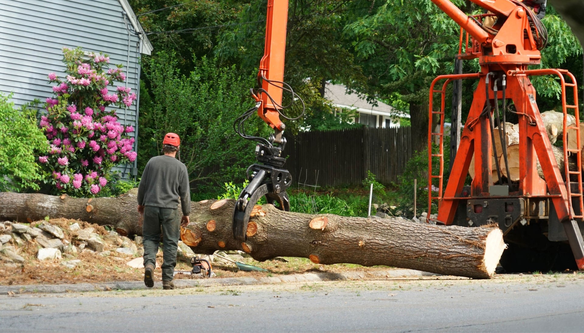 Tree Removal Service in CT